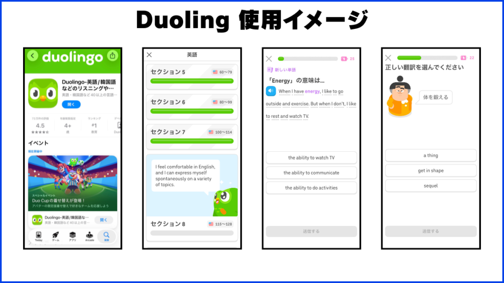duolingo 使用イメージ